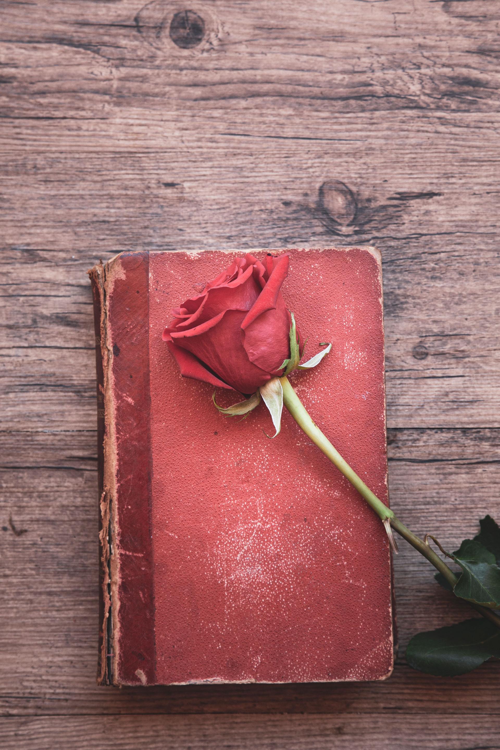 Red book and rose flower